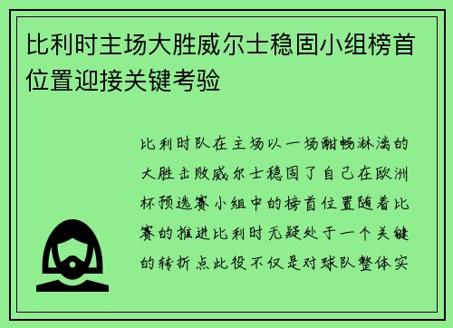 比利时主场大胜威尔士稳固小组榜首位置迎接关键考验